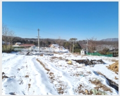  2025Ÿ��51501  �����