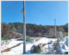  2025Ÿ��51501  �����