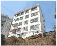  2025Ÿ51872  ֽ ﵿ 431-15 ϸǼ 2 4402ȣ    ټ,