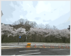  2025Ÿ51923  ֽ  362-45       (Ӿ)