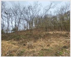  2025Ÿ51923  ֽ  362-45       (Ӿ)