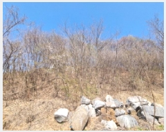  2025Ÿ51923  ֽ  362-45       (Ӿ)