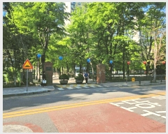  2025Ÿ52016   д籸 ݰ 143 ûָ 704 6602ȣ   Ʈ