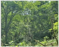  2025Ÿ��52270 ��� ���ֽ� ���ѻ꼺�� ���̸� ��99-1      ����(�Ӿ�)���