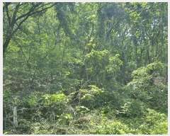  2025Ÿ��52270 ��� ���ֽ� ���ѻ꼺�� ���̸� ��99-1      ����(�Ӿ�)���