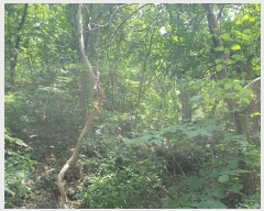  2025Ÿ��52270 ��� ���ֽ� ���ѻ꼺�� ���̸� ��99-1      ����(�Ӿ�)���