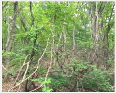  2025Ÿ��52270 ��� ���ֽ� ���ѻ꼺�� ���̸� ��99-1      ����(�Ӿ�)���