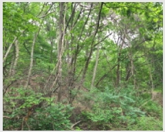  2025Ÿ��52270 ��� ���ֽ� ���ѻ꼺�� ���̸� ��99-1      ����(�Ӿ�)���