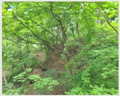  2025Ÿ��52270 ��� ���ֽ� ���ѻ꼺�� ���̸� ��99-1      ����(�Ӿ�)���