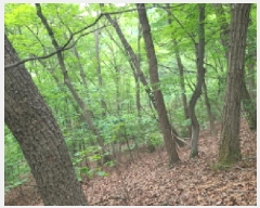  2025Ÿ��52270 ��� ���ֽ� ���ѻ꼺�� ���̸� ��99-1      ����(�Ӿ�)���