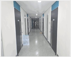  2025Ÿ��52439  ���ǽ��ڰ��