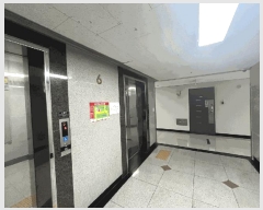  2025Ÿ��52527  ���ǽ��ڰ��