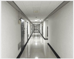  2025Ÿ��52527  ���ǽ��ڰ��