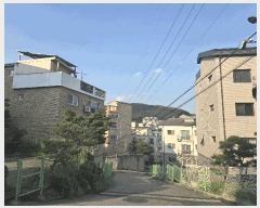  2025Ÿ��52643  �ټ���(����)���