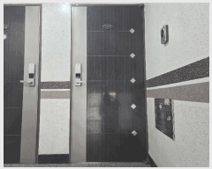  2025Ÿ��52643  �ټ���(����)���