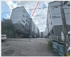  2025Ÿ��52937  �ټ���(����)���