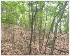  2025Ÿ��1285 ��� ���ֽ� �ʿ��� ������ ��55-5      ����(�Ӿ�)���