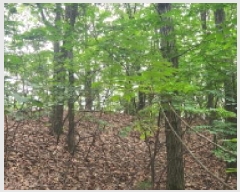  2025Ÿ��1285 ��� ���ֽ� �ʿ��� ������ ��55-5      ����(�Ӿ�)���