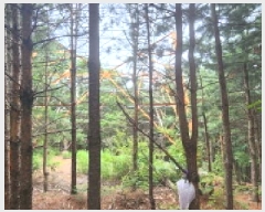  2025Ÿ��1285 ��� ���ֽ� �ʿ��� ������ ��55-5      ����(�Ӿ�)���