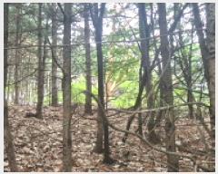  2025Ÿ��1285 ��� ���ֽ� �ʿ��� ������ ��55-5      ����(�Ӿ�)���