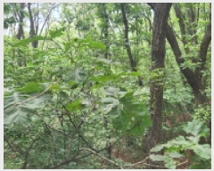  2025Ÿ��1285 ��� ���ֽ� �ʿ��� ������ ��55-5      ����(�Ӿ�)���