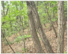  2025Ÿ��1285 ��� ���ֽ� �ʿ��� ������ ��55-5      ����(�Ӿ�)���