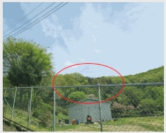  2025Ÿ��1452 ��� ���ֽ� ź���� ��59-2       ����(�Ӿ�)���