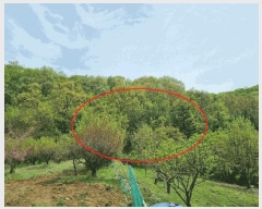  2025Ÿ��1452 ��� ���ֽ� ź���� ��59-2       ����(�Ӿ�)���