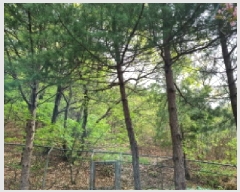  2025Ÿ��1452 ��� ���ֽ� ź���� ��59-2       ����(�Ӿ�)���