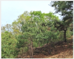  2025Ÿ��1452 ��� ���ֽ� ź���� ��59-2       ����(�Ӿ�)���