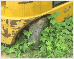  2025Ÿ1704  ϳ ʷ 120-15       