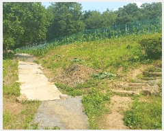  2025Ÿ��1797 ��� �ϳ��� ���ϵ� 249       ����(��)���