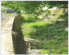  2025Ÿ��1797 ��� �ϳ��� ���ϵ� 249       ����(��)���