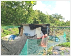  2025Ÿ��1797 ��� �ϳ��� ���ϵ� 249       ����(��)���