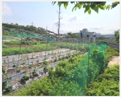  2025Ÿ��1797 ��� �ϳ��� ���ϵ� 249       ����(��)���