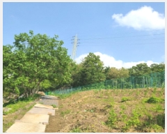  2025Ÿ��1797 ��� �ϳ��� ���ϵ� 249       ����(��)���