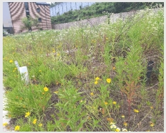  2025Ÿ��2233 ��� ���ֽ� ������ 611-6       ����(����)���