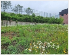  2025Ÿ��2233 ��� ���ֽ� ������ 611-6       ����(����)���