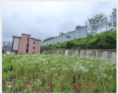  2025Ÿ��2233 ��� ���ֽ� ������ 611-6       ����(����)���