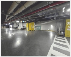  2025Ÿ��51624 ��� �ϳ��� ǳ�굿 527 �ν�Ÿ��Ƽ  ��20�� ��2011ȣ   ���ǽ��ڰ��