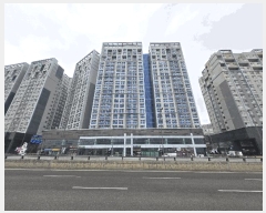  2025Ÿ��51624 ��� �ϳ��� ǳ�굿 527 �ν�Ÿ��Ƽ  ��20�� ��2011ȣ   ���ǽ��ڰ��