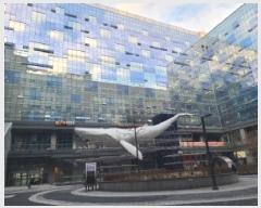  2025Ÿ��51674  ����Ʈ��������