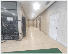  2025Ÿ��52020  ���ǽ��ڰ��