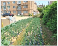  2025Ÿ��52106 ��� ���ֽ� ���� 175-41       ����(����)���