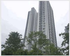  2025Ÿ��52549  ����Ʈ���