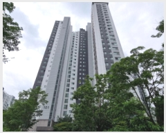  2025Ÿ��52549  ����Ʈ���