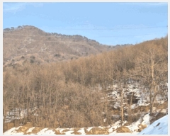  2025Ÿ��350 ��� ���ֽ� �������� ������ 23-1      ����(�Ӿ�)���