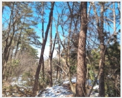  2025Ÿ��350 ��� ���ֽ� �������� ������ 23-1      ����(�Ӿ�)���