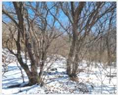  2025Ÿ��350 ��� ���ֽ� �������� ������ 23-1      ����(�Ӿ�)���