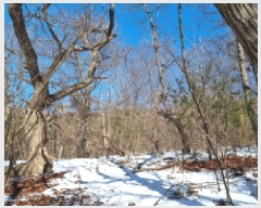  2025Ÿ��350 ��� ���ֽ� �������� ������ 23-1      ����(�Ӿ�)���